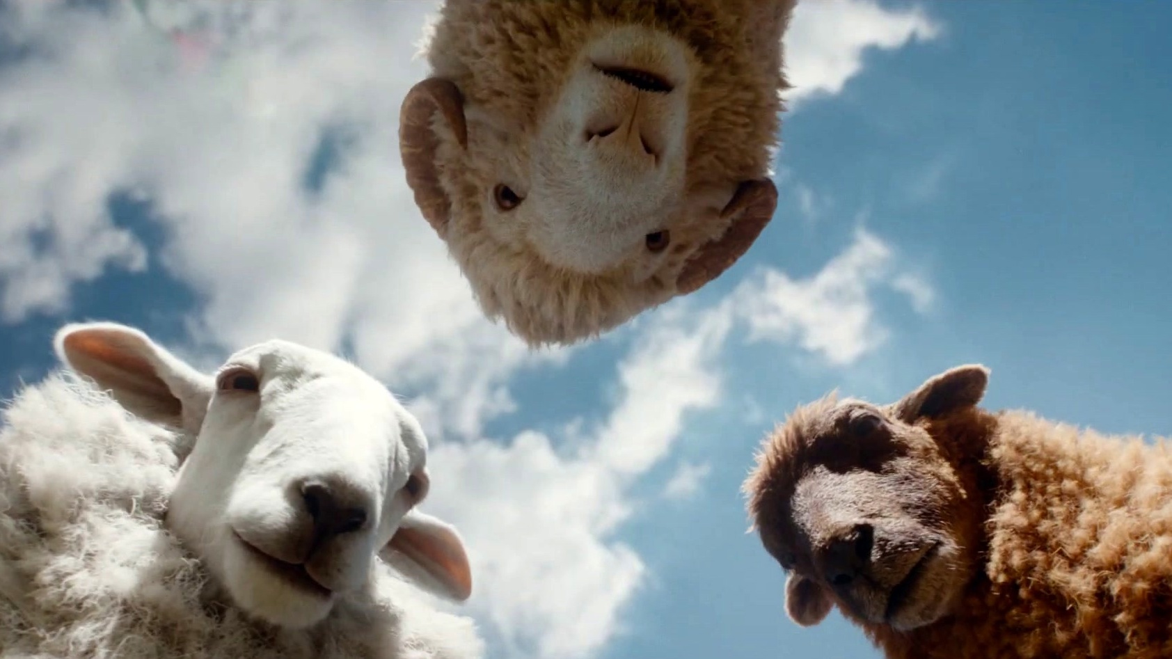 邦楽 meh meh white sheeps / SUPER ROAD MOVIE Movie and TV Show Licensing from Swank Motion Pictures
